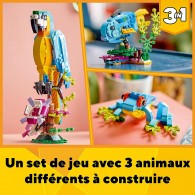 LEGO® Creator 31136 - Le perroquet exotique