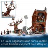 LEGO® Harry Potter 76407 - La cabane hurlante et le saule cogneur