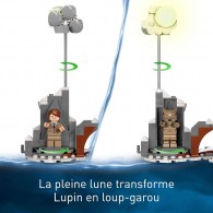 LEGO® Harry Potter 76407 - La cabane hurlante et le saule cogneur