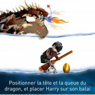 LEGO® Harry Potter 76406 - Le Magyar à pointes